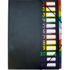 TimeTEX Tisch-Fächermappe 1-12 A4, farbig mit Verschlussgummi