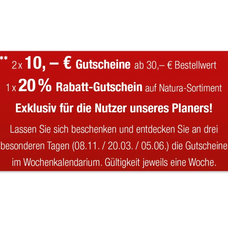 TimeTEX Trend-Schulplaner A4, 2026/2027, flieder