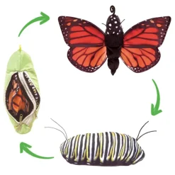 Wendepuppe "Lebenszyklus Schmetterling"