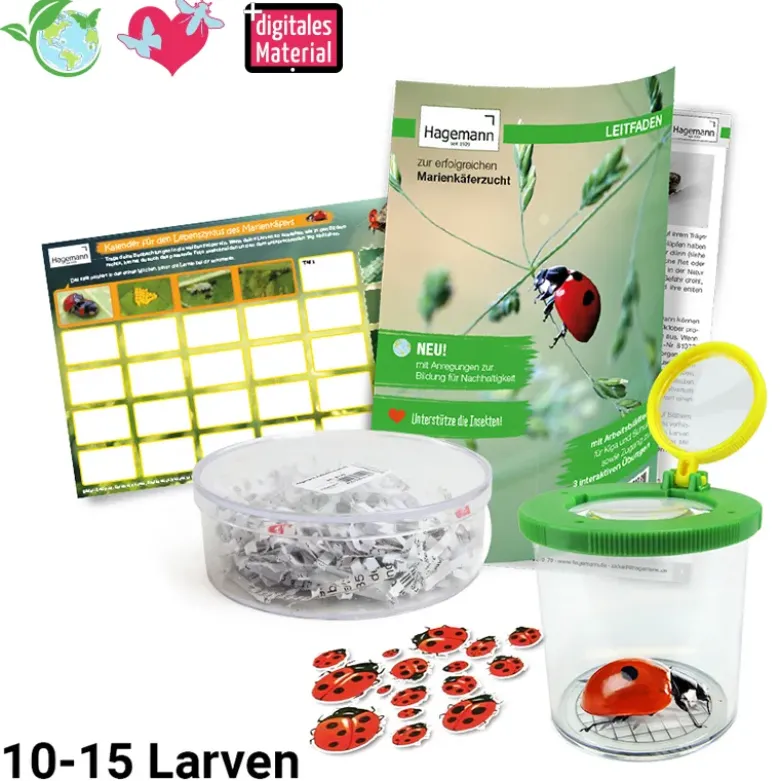 Zuchtset "Marienkäfer", 6-tlg.