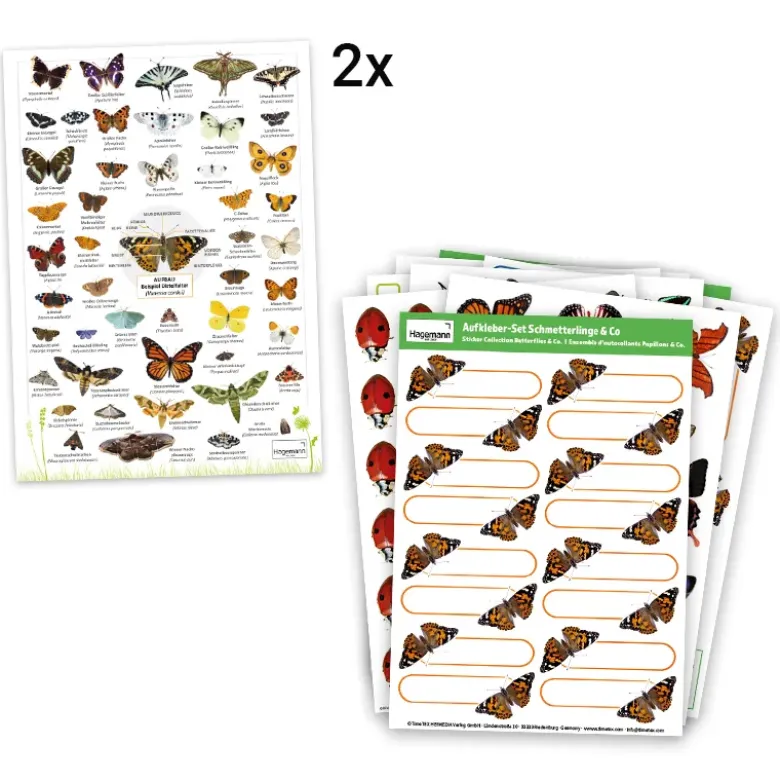 Zuchtset "Schmetterlinge", groß mit XXL-Voliere, 12-tlg.