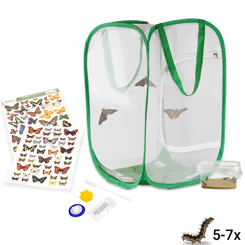 Zuchtset "Schmetterlinge", kompakt mit XXL-Voliere, 7-tlg.