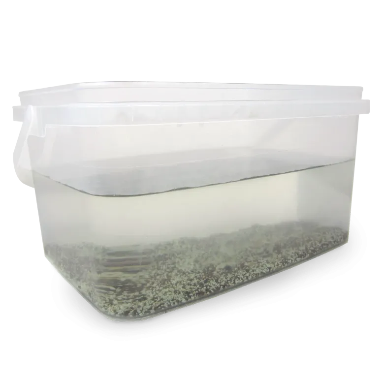 Zuchtset "Triops", 6-tlg.