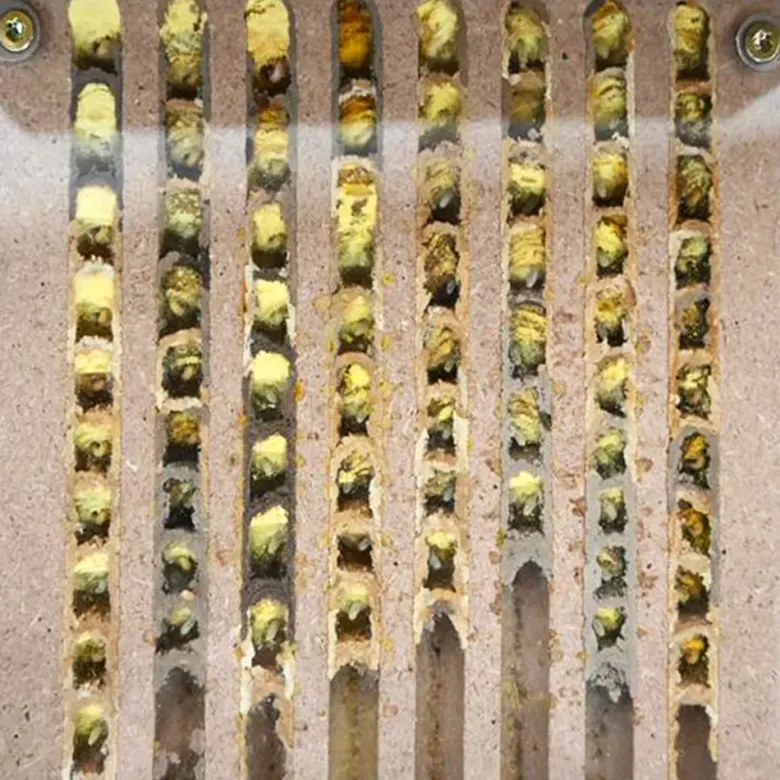 Zuchtset "Wildbienen" kompakt, Rote Mauerbiene, 4-tlg.