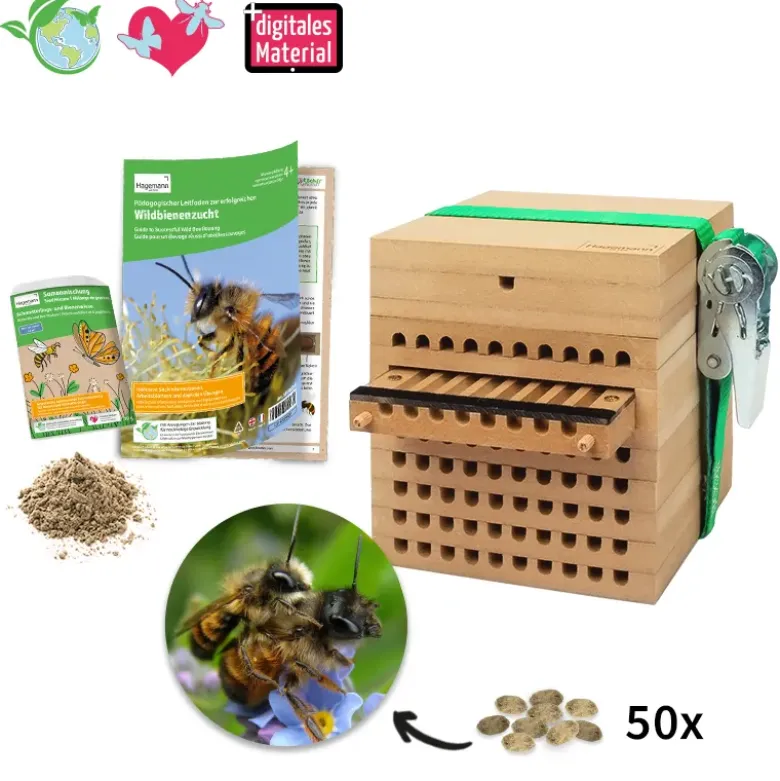 Zuchtset "Wildbienen mit Kokons", Gehörnte Mauerbiene, 5-tlg.
